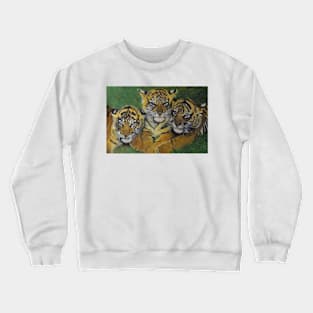 3 tigers in the grass......... Crewneck Sweatshirt